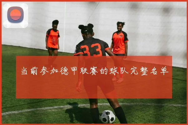 当前参加德甲联赛的球队完整名单